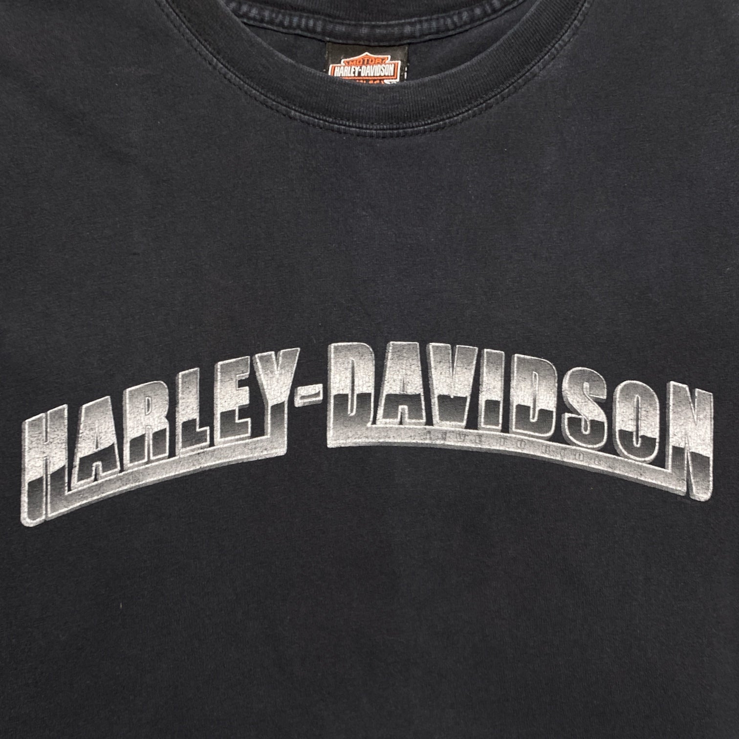 HARLEY-DAVIDSON MOTOR CYCLES Tee logo print silver