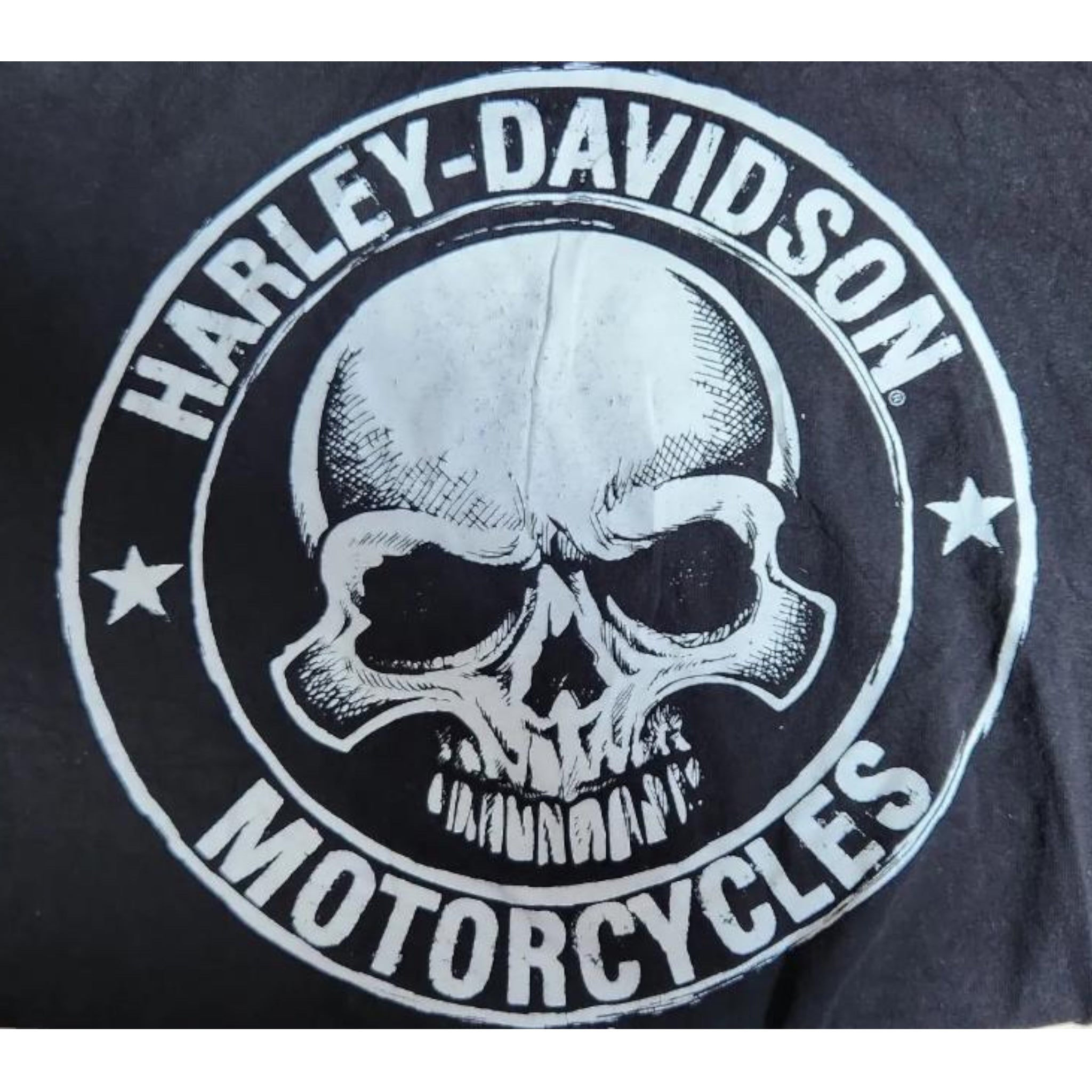 Harley Davidson Tee Big Logo Skull