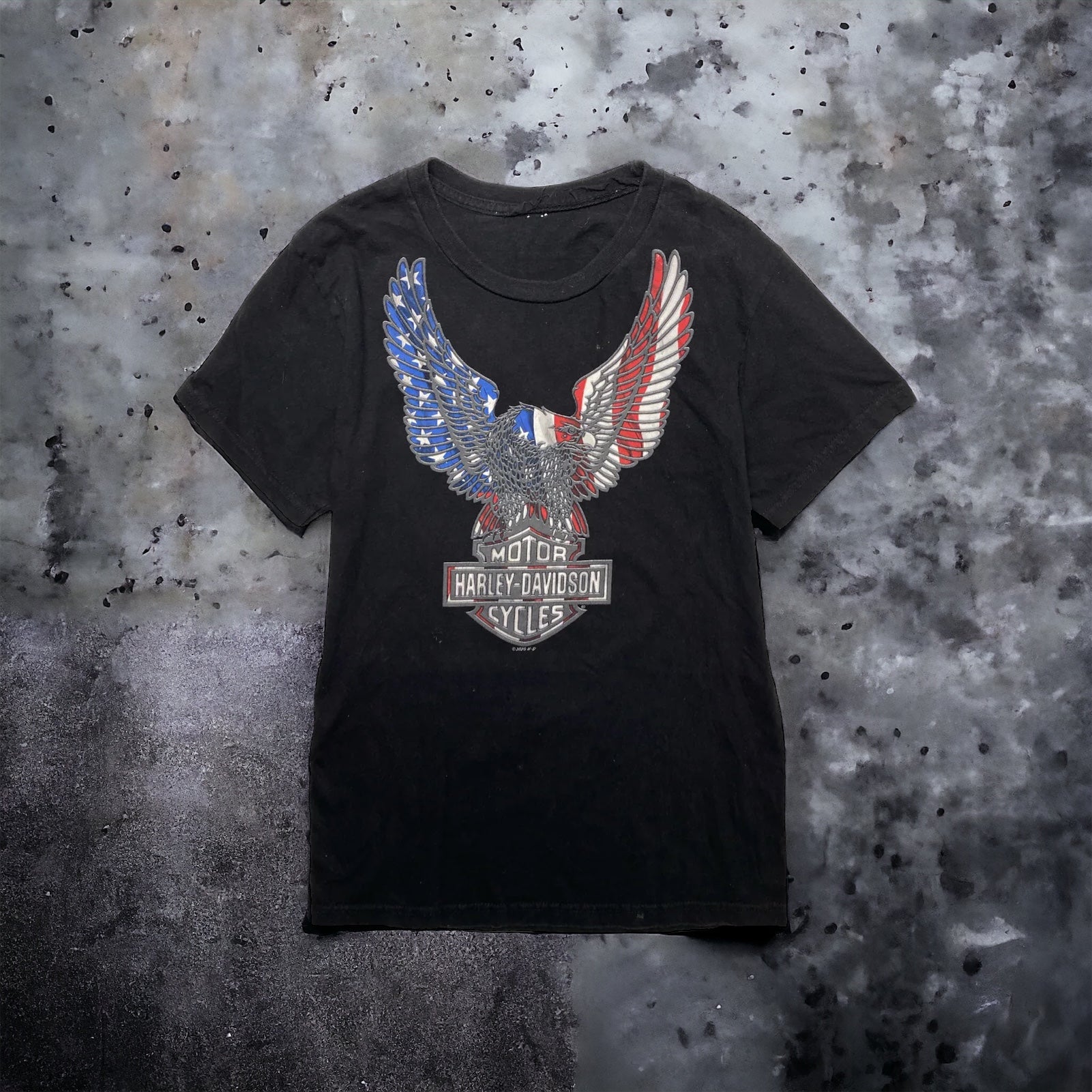 HARLEY-DAVIDSON MOTOR CYCLES Tee USA eagle