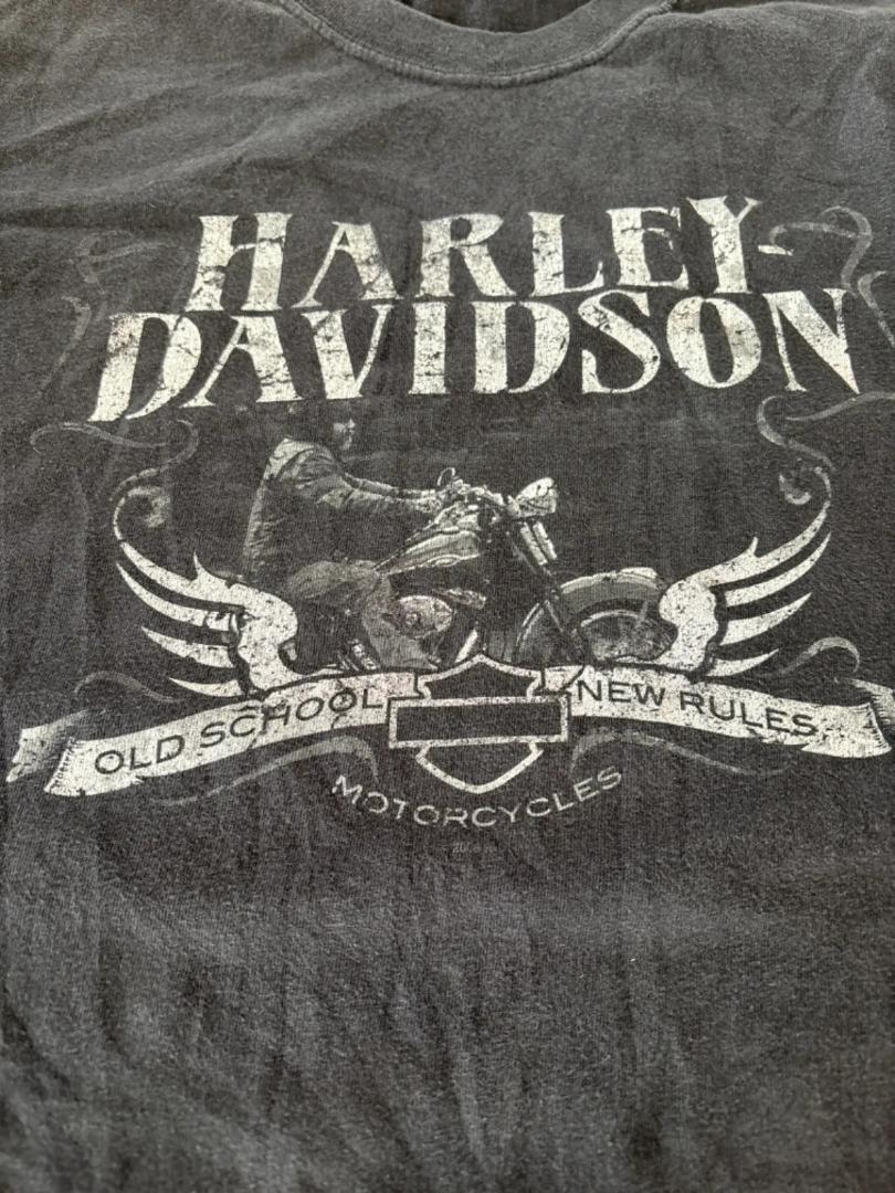HARLEY-DAVIDSON MOTOR CYCLES Tee Hanes BEFFY-T