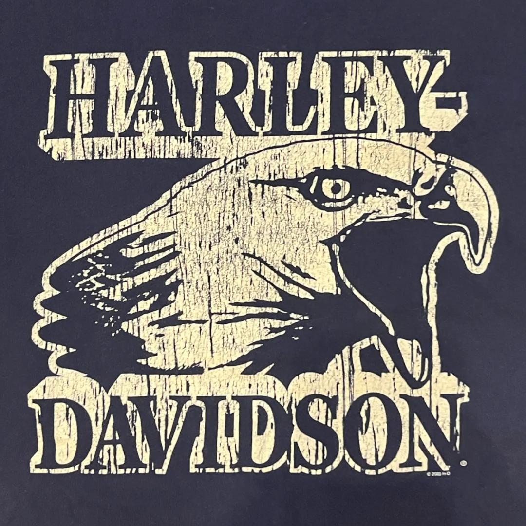HARLEY-DAVIDSON MOTOR CYCLES Tee Eagle