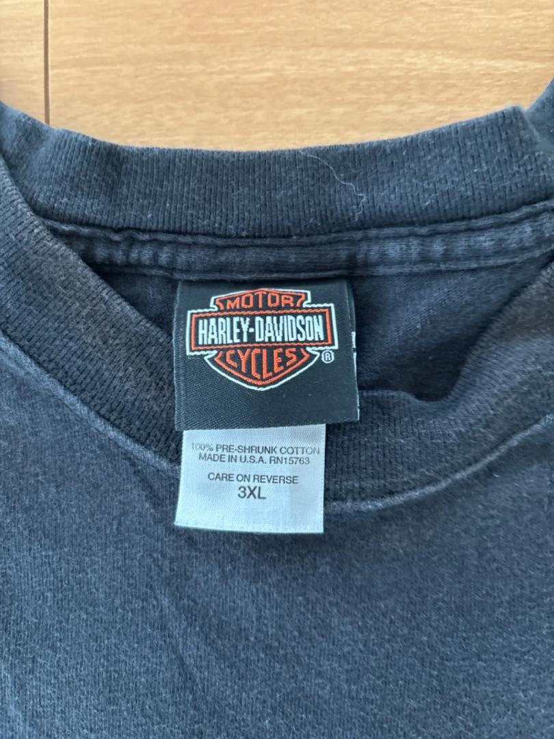 HARLEY-DAVIDSON MOTOR CYCLES Tee LYNCHBURG TENNESSEE Made in USA