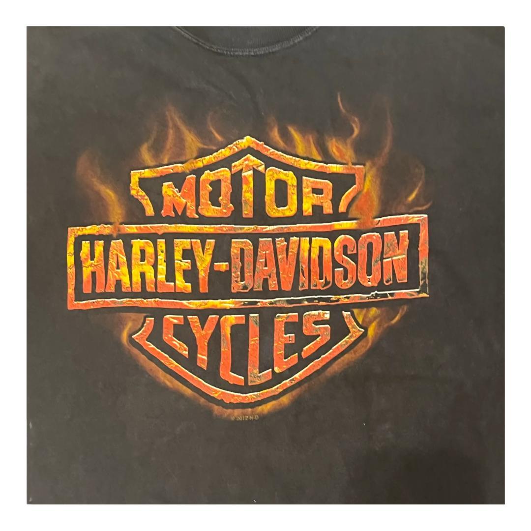 Harley Davidson Tee Flame logo  Hanes  BEFFY-T