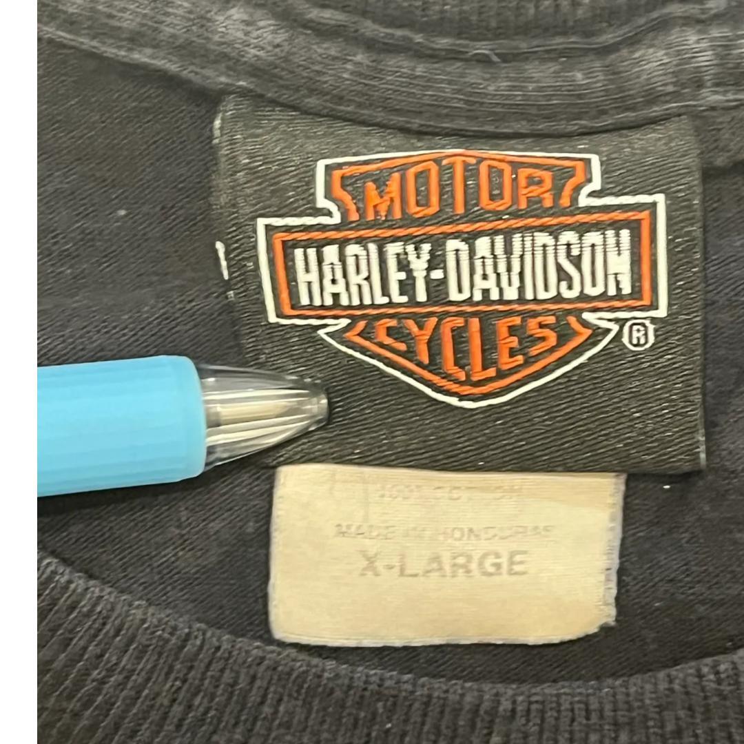 Harley Davidson Tee Flame logo  Hanes  BEFFY-T