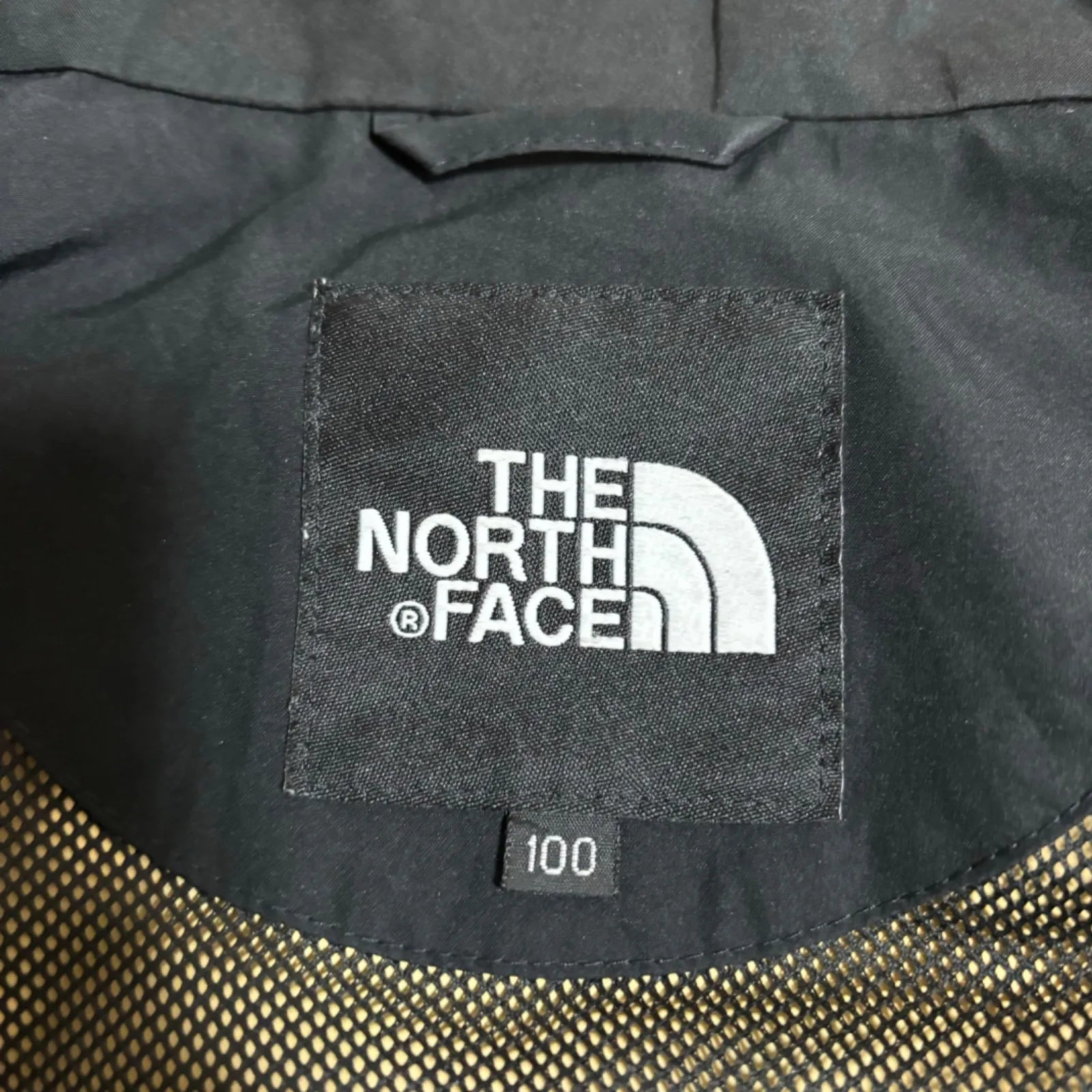 The North Face Gore-Tex Nylon Jacket.